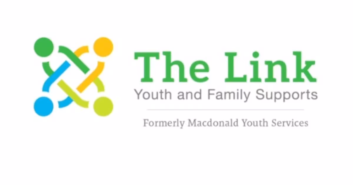 the link youth and family support logo